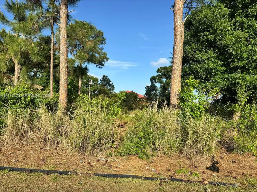 4149 SW Bamberg St Port St. Lucie, FL 34953