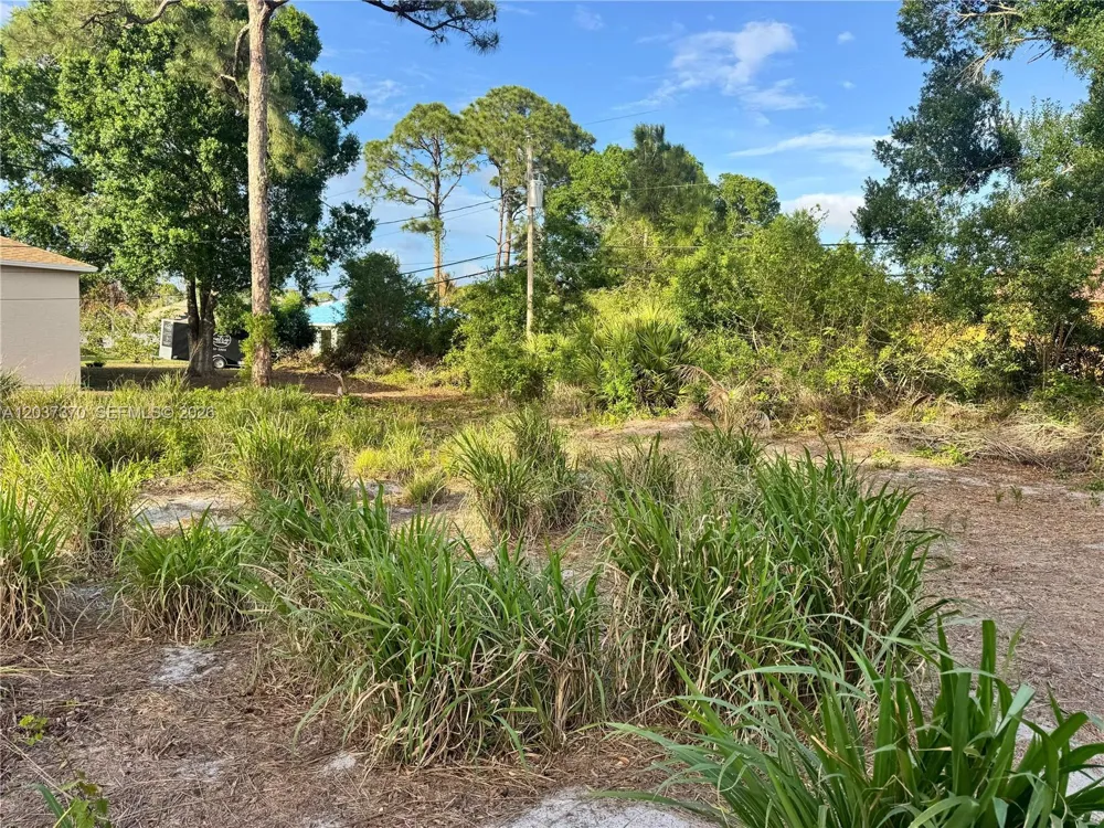 4149 SW Bamberg St Port St. Lucie, FL 34953