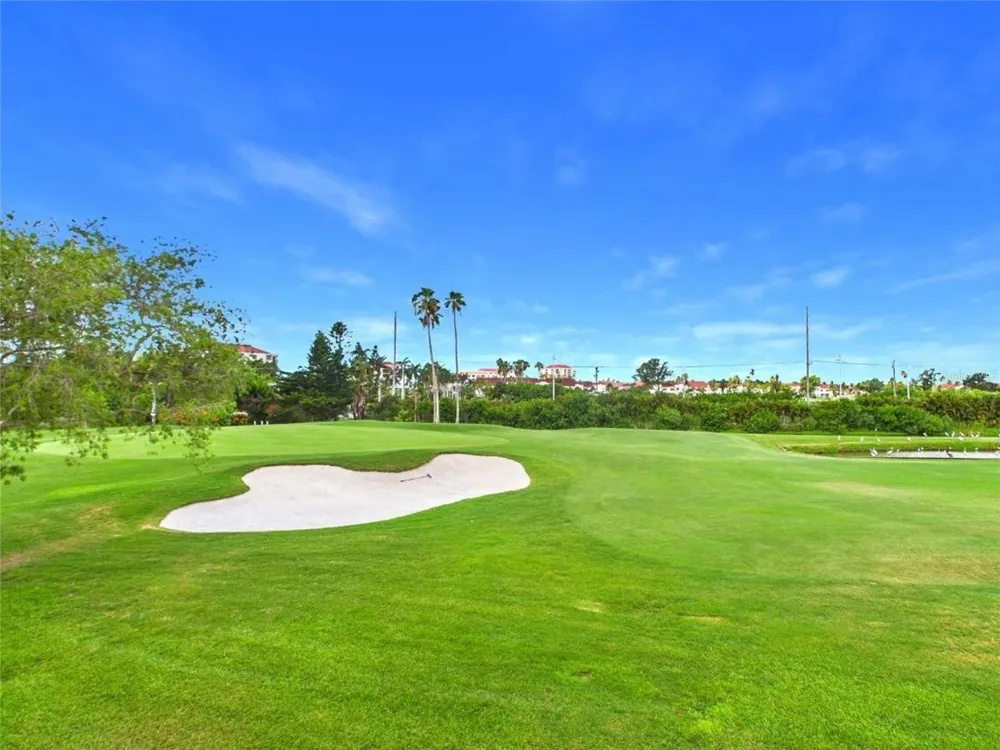 6335 PALMA DEL MAR BOULEVARD S #223 St Petersburg, FL 33715