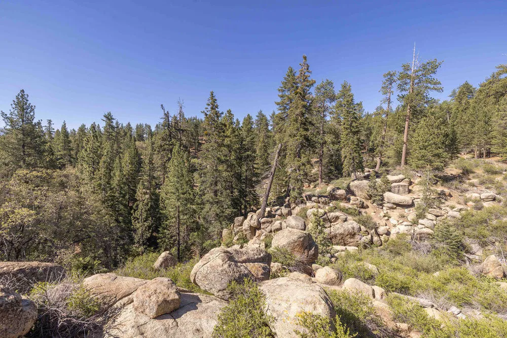 32311 Rim Of The World Drive Fawnskin, CA 92333
