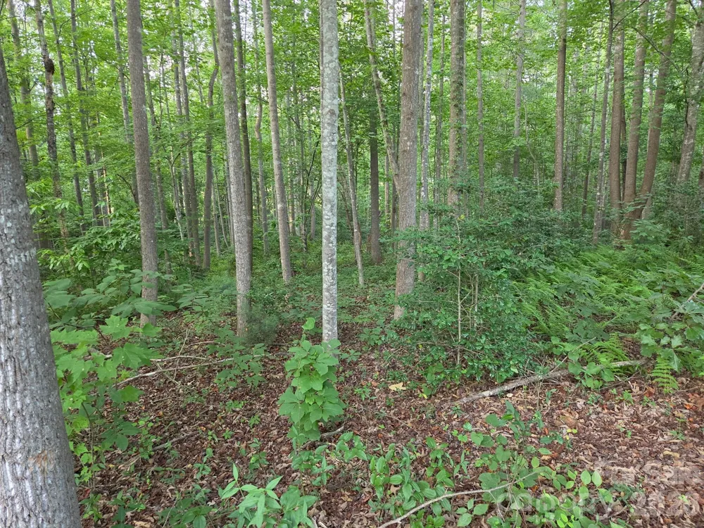 TBD W Meadow Parkway Moravian Falls, NC 28654