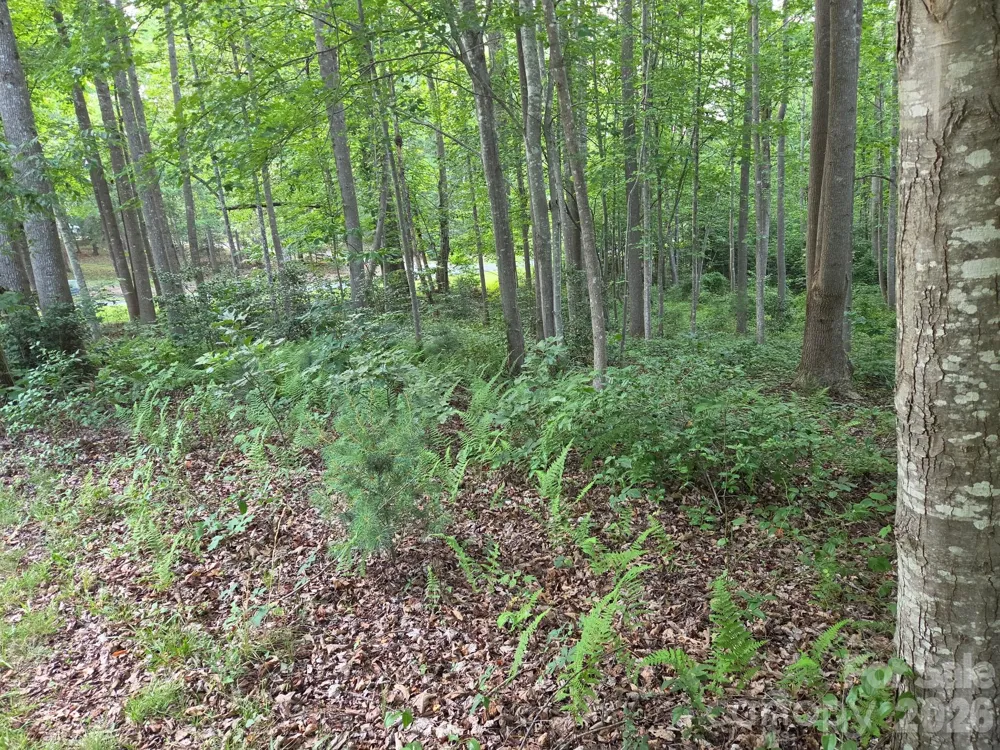 TBD W Meadow Parkway Moravian Falls, NC 28654