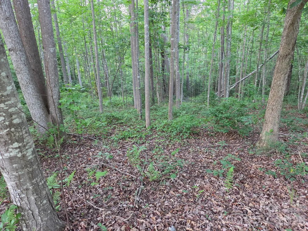 TBD W Meadow Parkway Moravian Falls, NC 28654