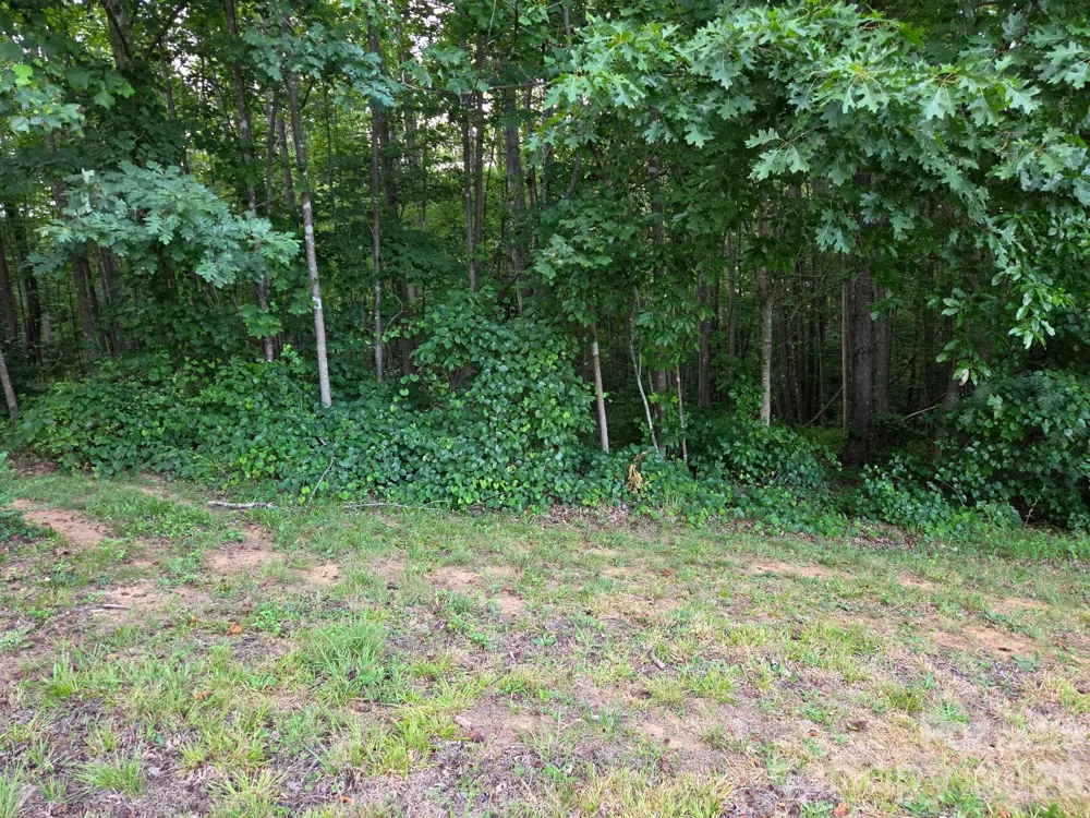 TBD W Meadow Parkway Moravian Falls, NC 28654