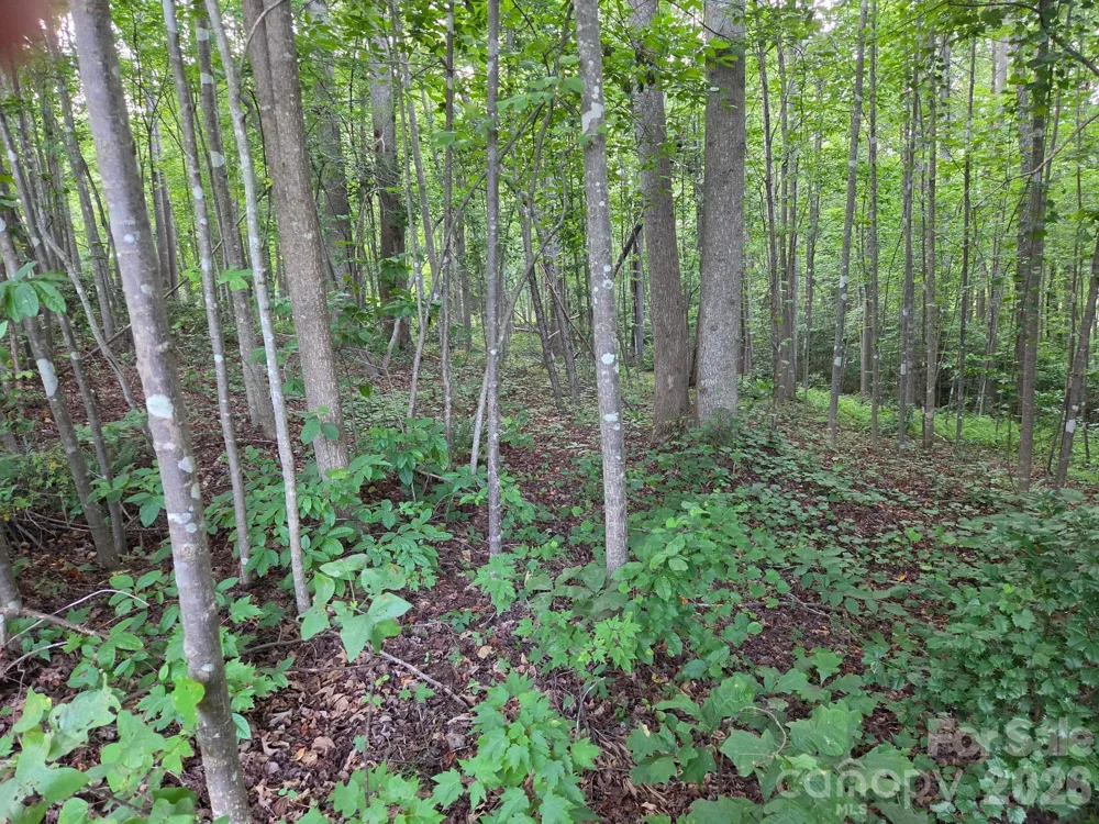 TBD W Meadow Parkway Moravian Falls, NC 28654