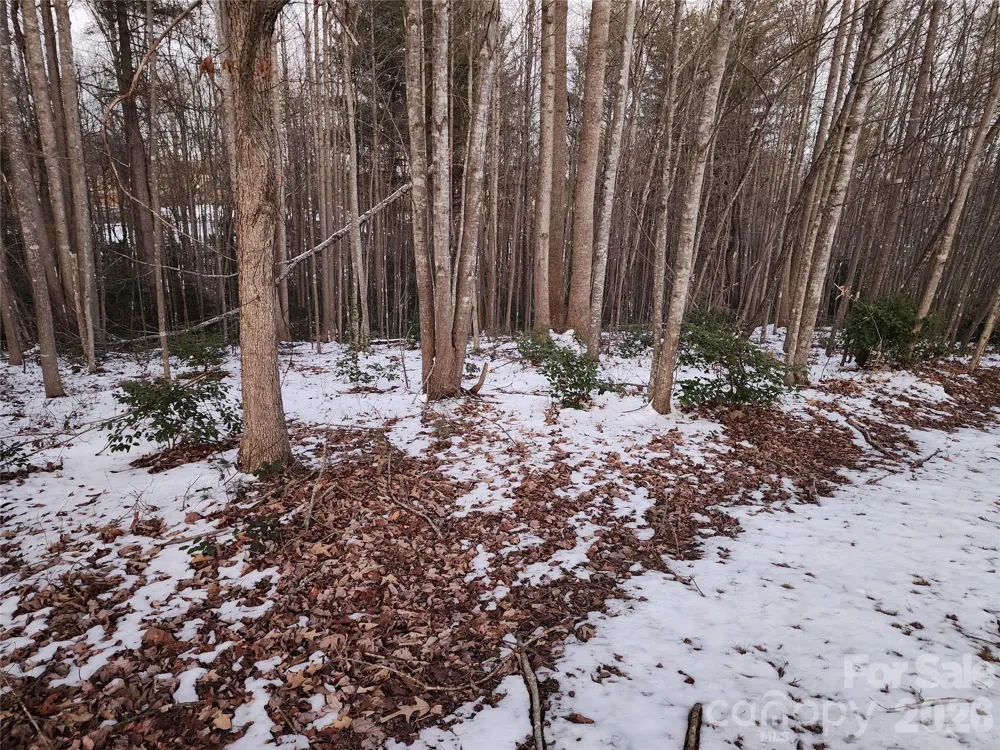 TBD W Meadow Parkway Moravian Falls, NC 28654