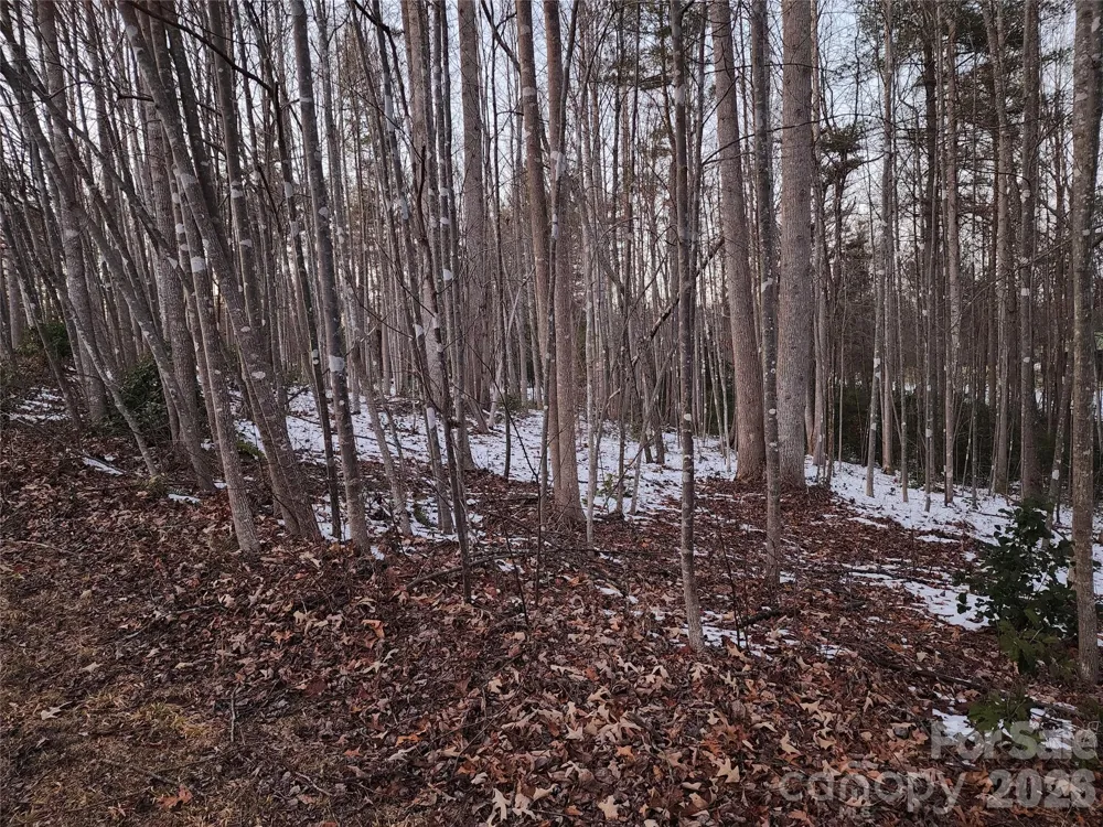 TBD W Meadow Parkway Moravian Falls, NC 28654
