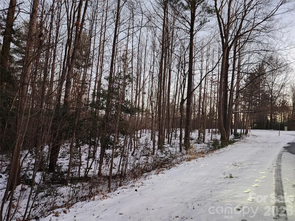TBD W Meadow Parkway Moravian Falls, NC 28654