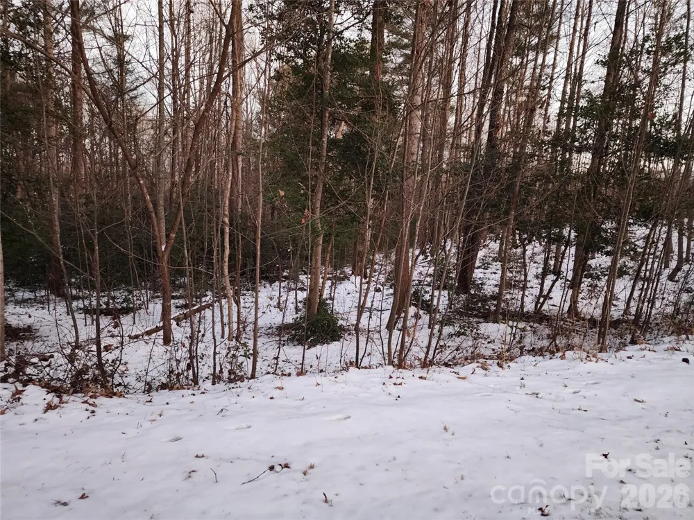 TBD W Meadow Parkway Moravian Falls, NC 28654