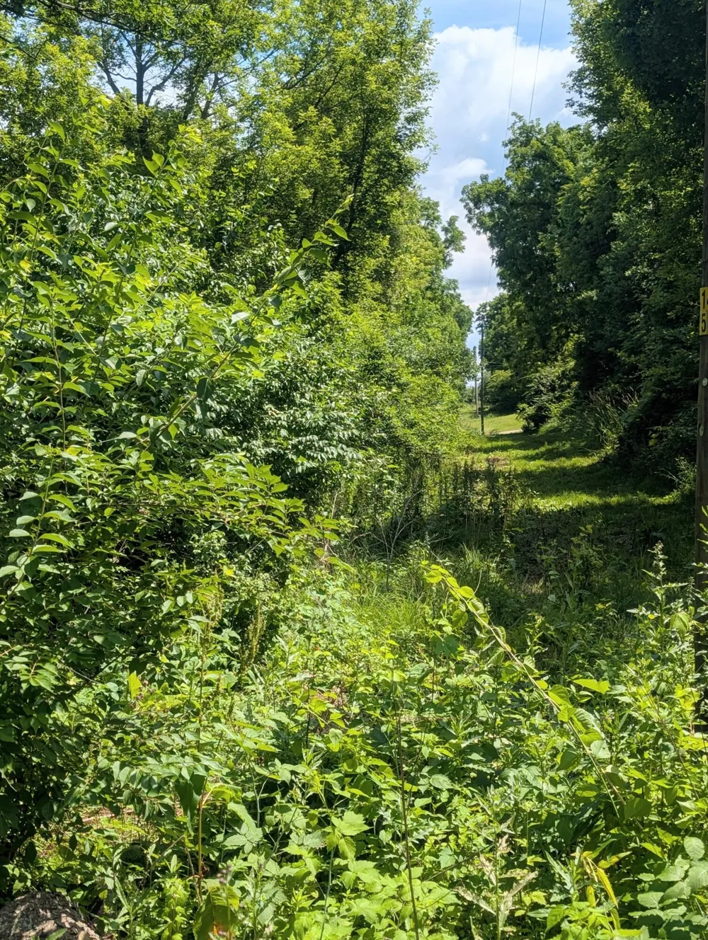 5900 Springbrook Road Horton, MI 49246
