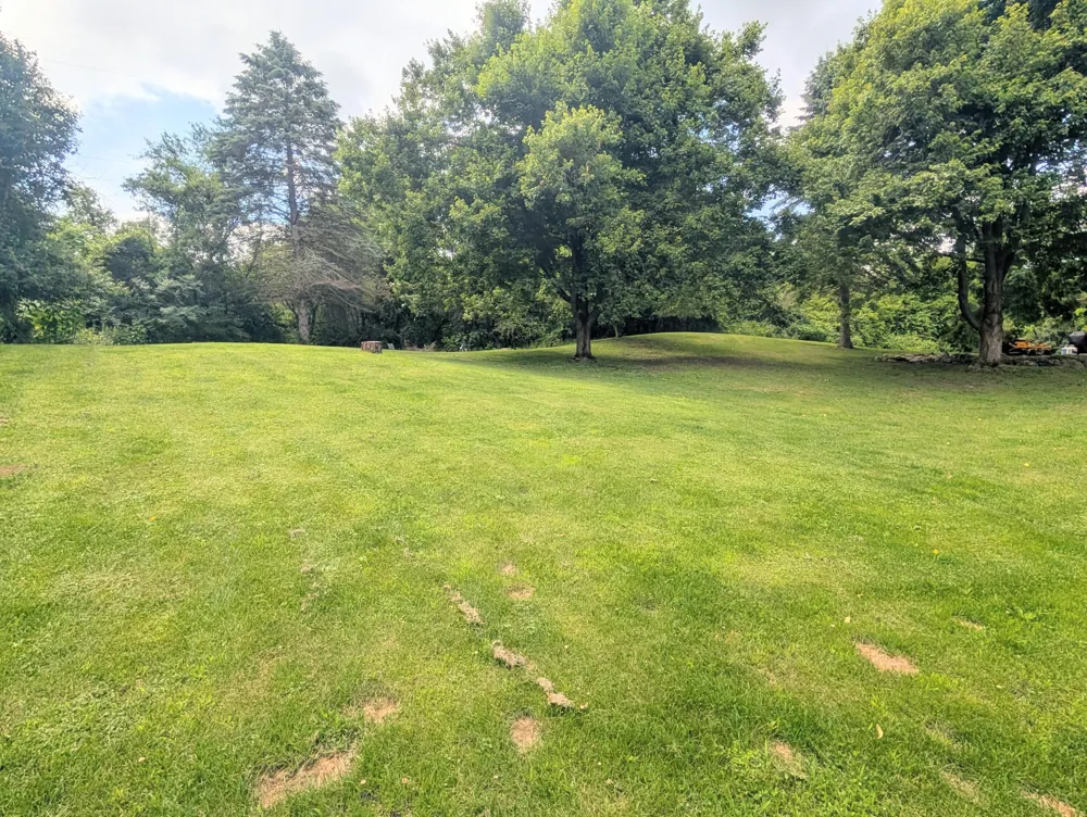 5900 Springbrook Road Horton, MI 49246