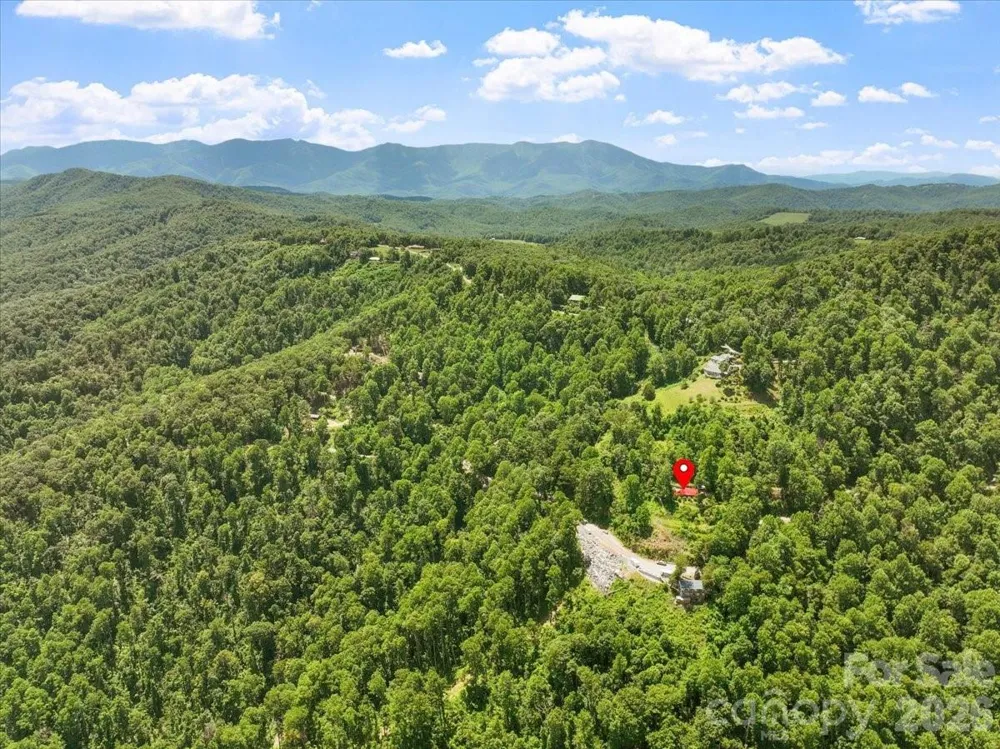 8709 Hwy 226A Highway Little Switzerland, NC 28749