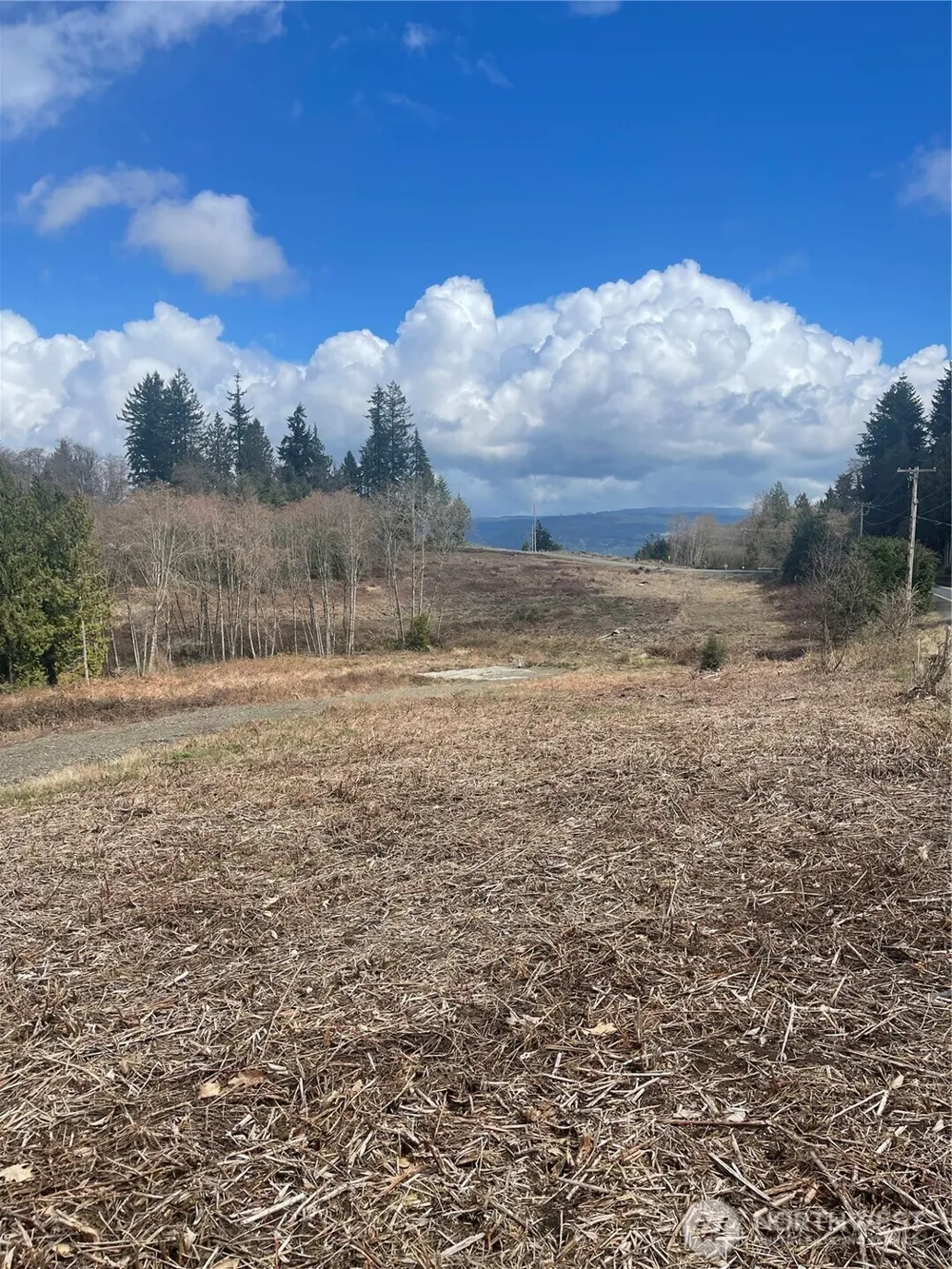 1015 Lone Oak Road Longview, WA 98632