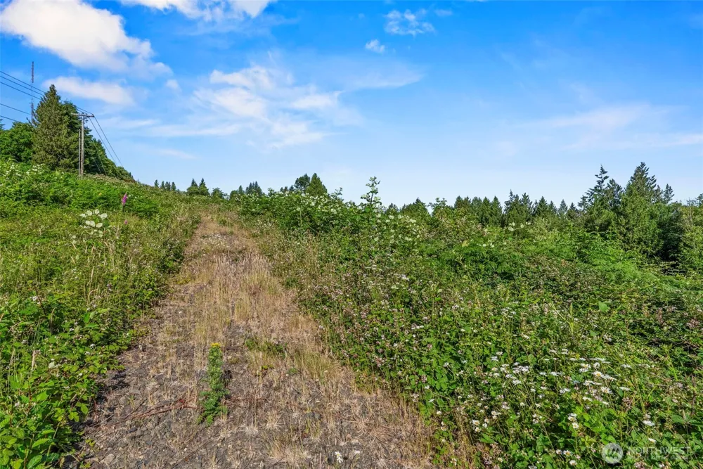 1015 Lone Oak Road Longview, WA 98632