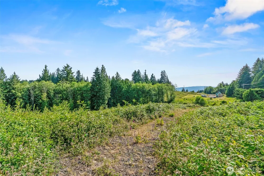 1015 Lone Oak Road Longview, WA 98632