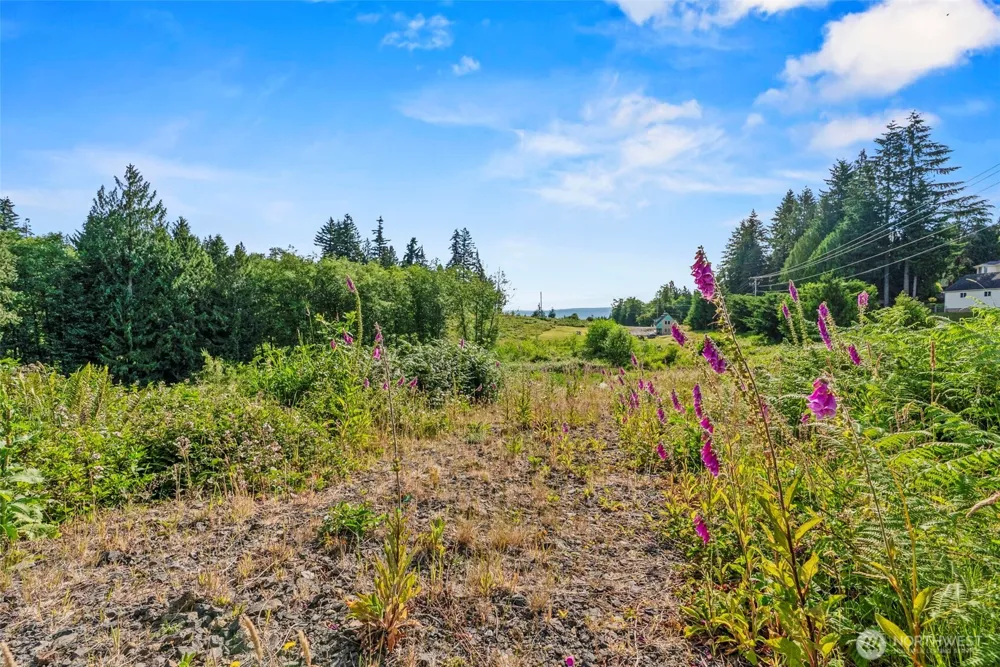 1015 Lone Oak Road Longview, WA 98632
