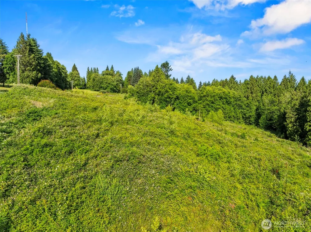 1015 Lone Oak Road Longview, WA 98632