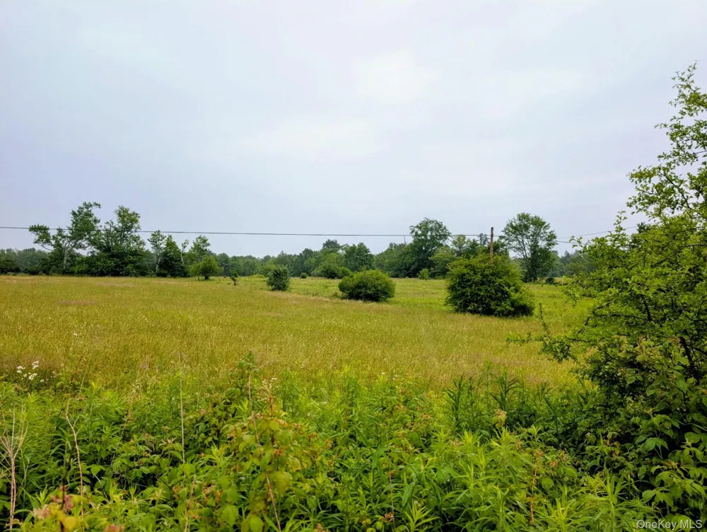 196 Gabriel Road Cochecton, NY 12726