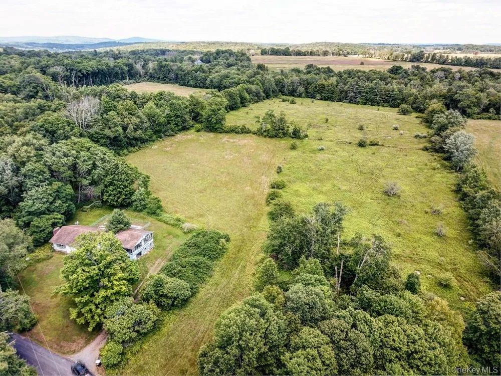 196 Gabriel Road Cochecton, NY 12726