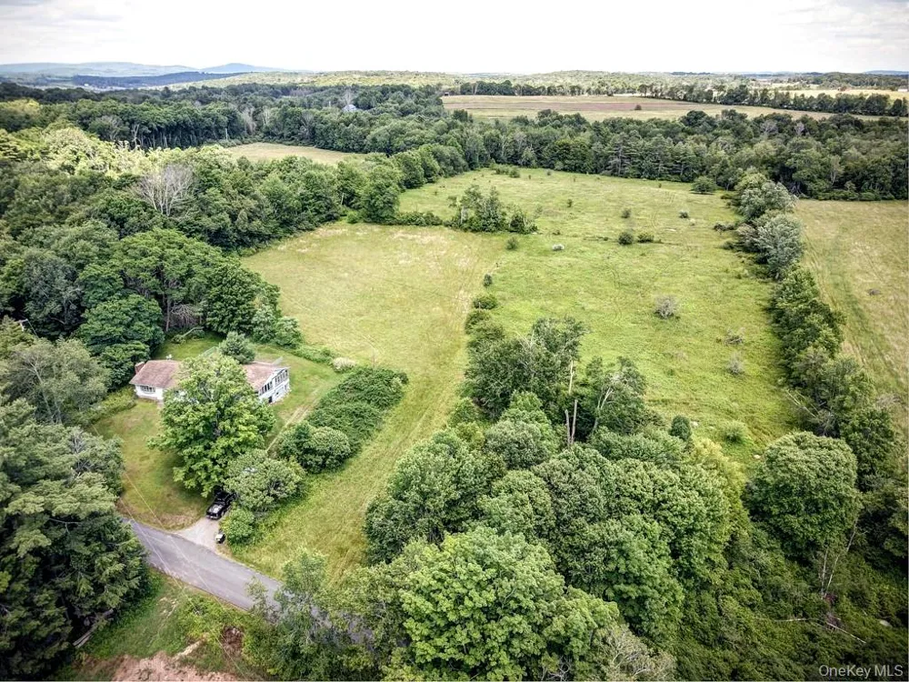 196 Gabriel Road Cochecton, NY 12726