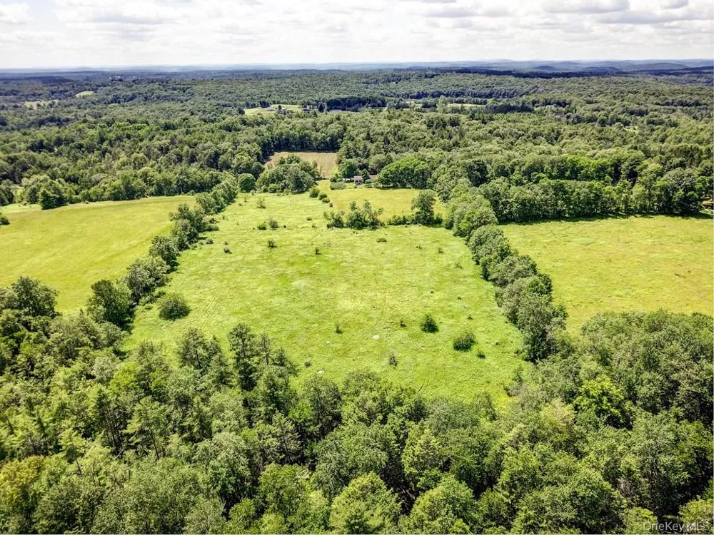 196 Gabriel Road Cochecton, NY 12726