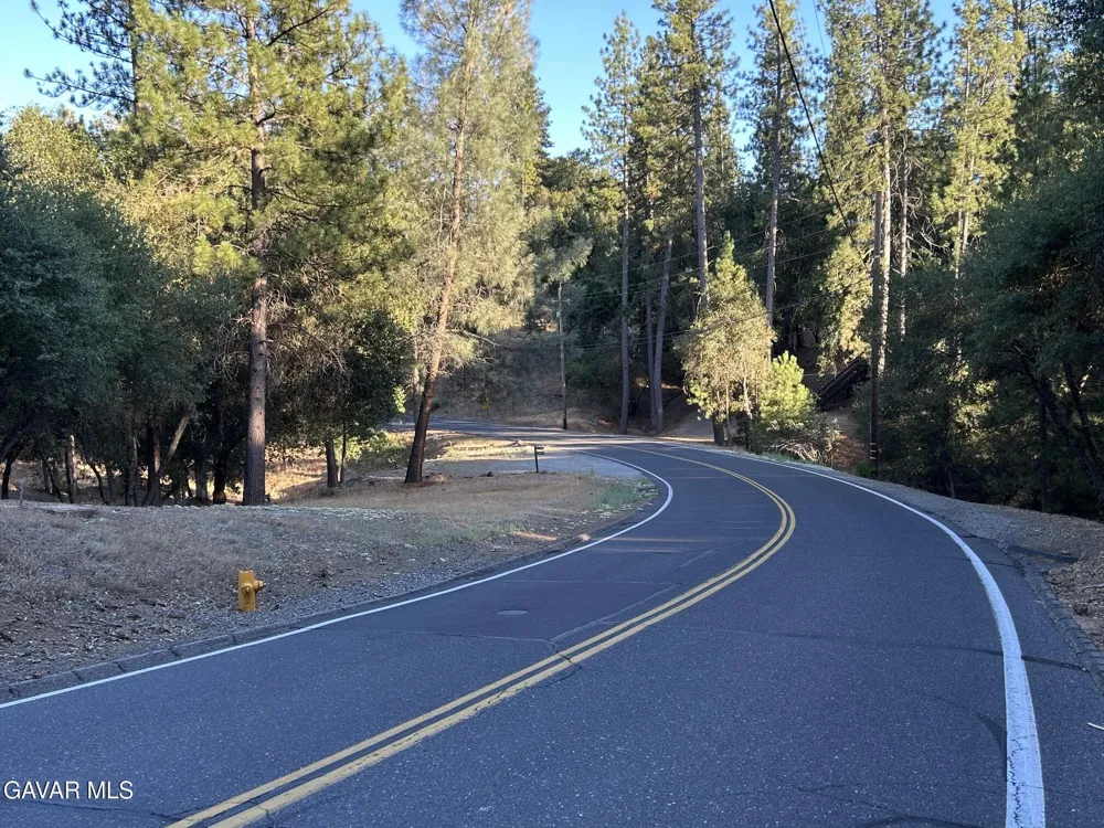 20465 Pine Mountain Drive Goverland, CA 95321