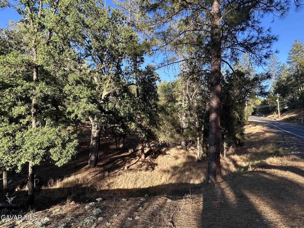 20465 Pine Mountain Drive Goverland, CA 95321