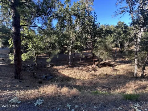 20465 Pine Mountain Drive