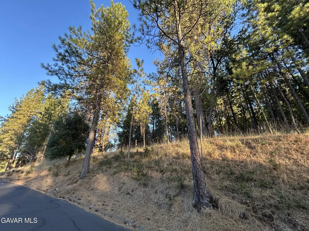 19611 Cottonwood Street Goverland, CA 95321