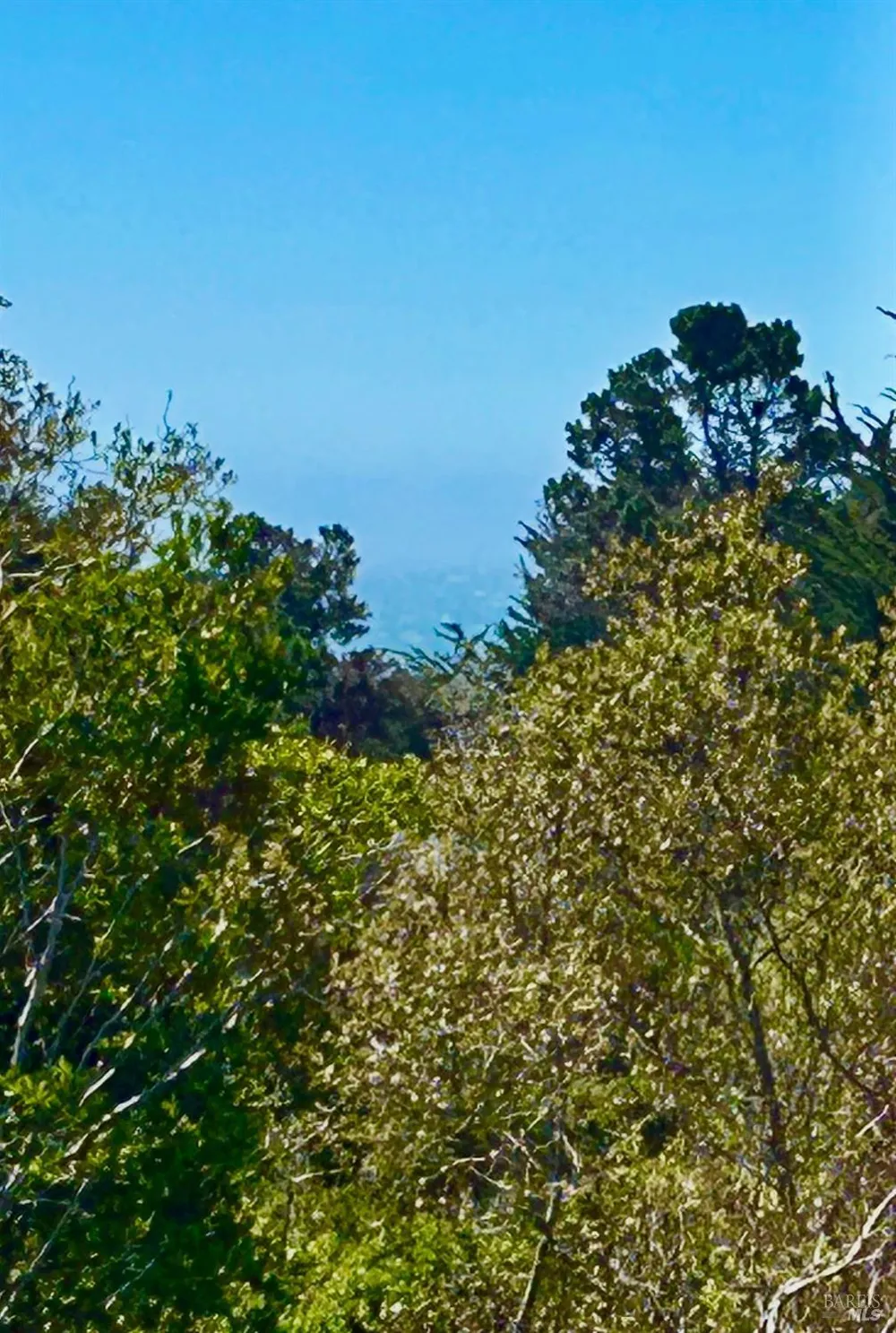 41322 Tallgrass The Sea Ranch, CA 95497