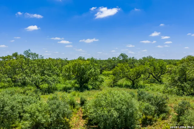 15599 E Highway 85 & Carnes Pearsall, TX 78061