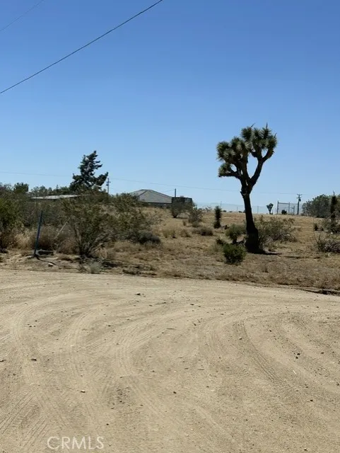 Olivine Road Phelan, CA 92371