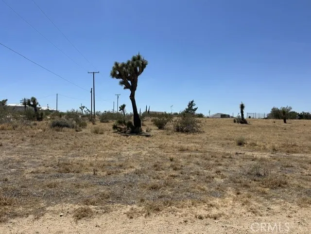 Olivine Road Phelan, CA 92371