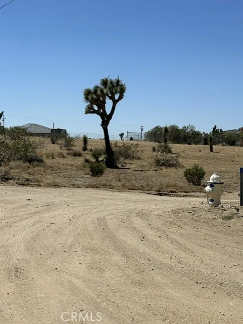 Olivine Road Phelan, CA 92371