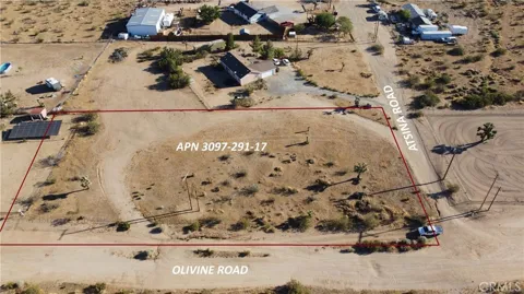 Olivine Road