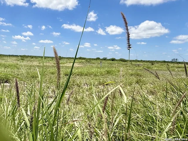 0 CR 235 Three Rivers, TX 78071