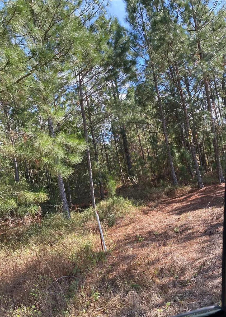Address Not Shown Polk City, FL 33868