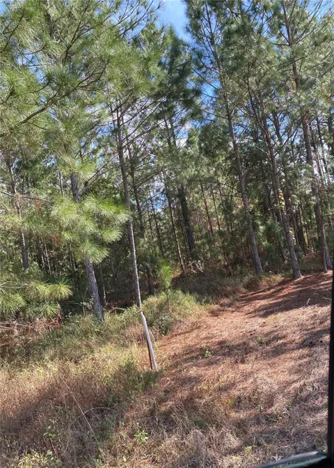 Address Not Shown