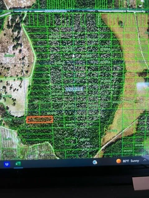 Address Not Shown Polk City, FL 33868