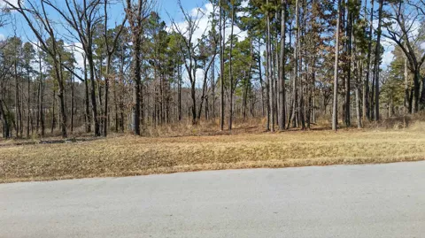 3200 Shadow Pine (LOT 47) Drive