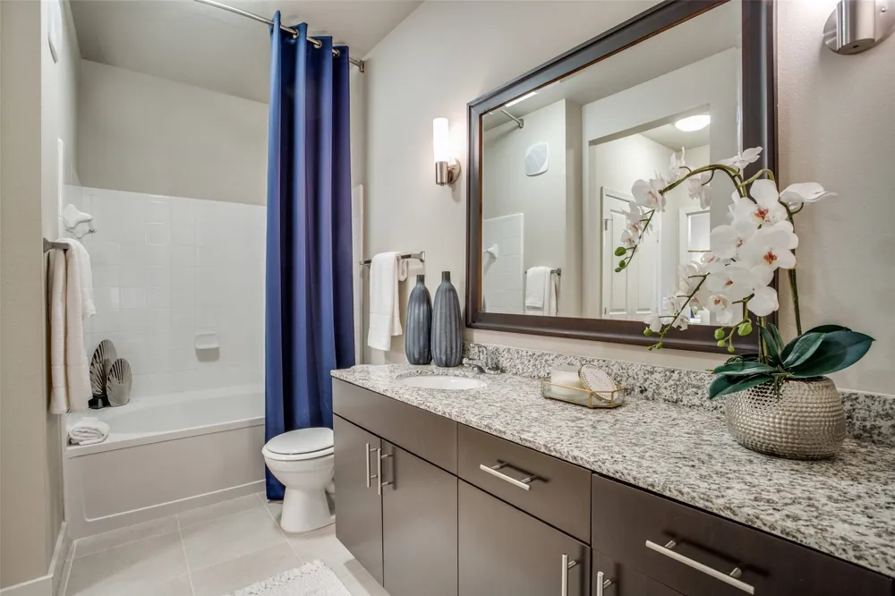 4200 Broadway Avenue #1307 Flower Mound, TX 75028