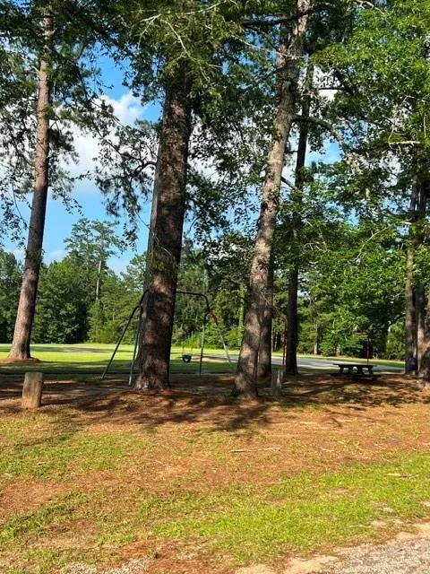 456 Sherwood Forest Drive Woodville, TX 75979
