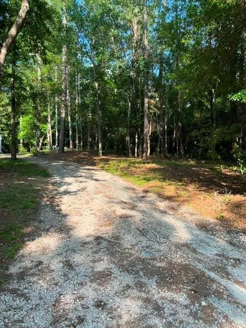 456 Sherwood Forest Drive Woodville, TX 75979