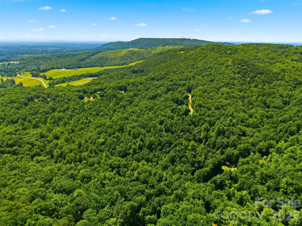 TBD Basin Creek Drive #14 Taylorsville, NC 28681