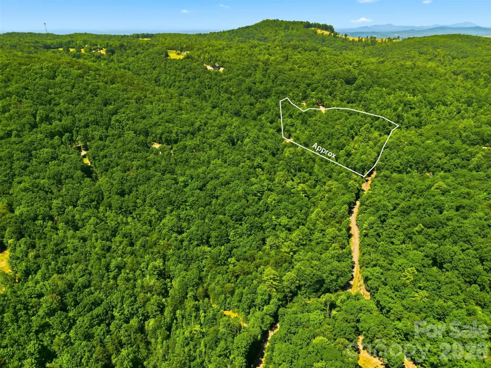 TBD Basin Creek Drive #14 Taylorsville, NC 28681