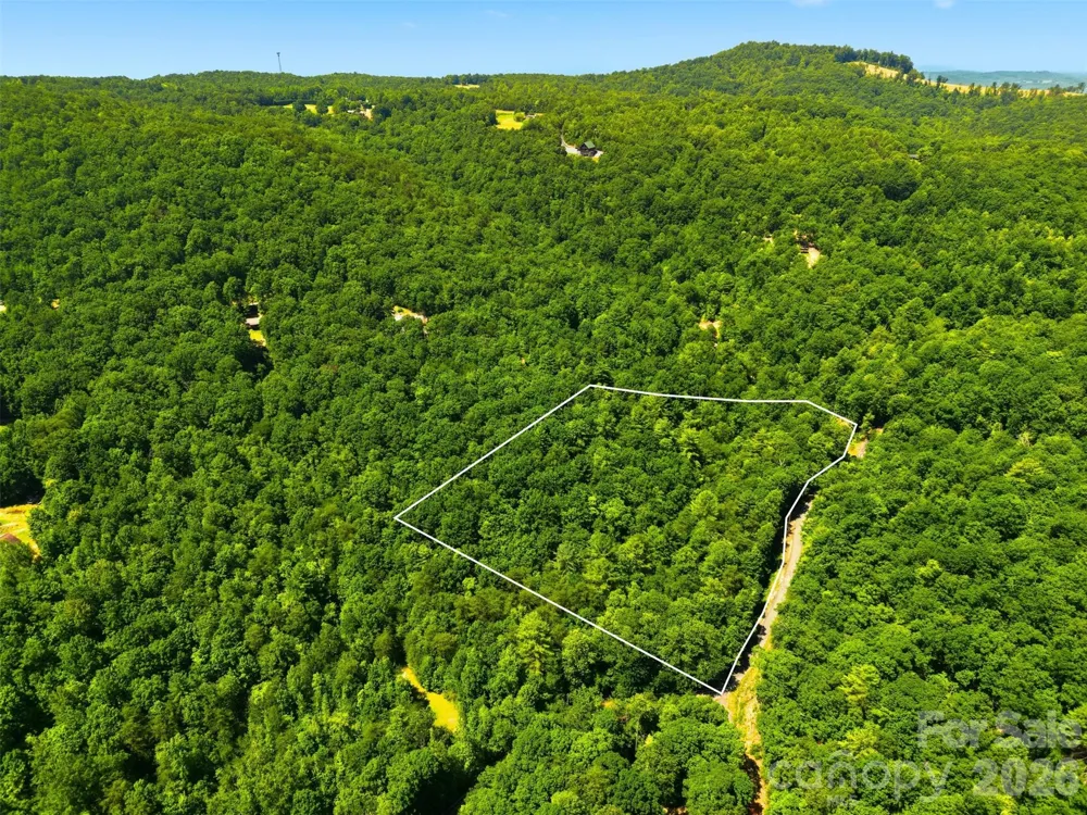 TBD Basin Creek Drive #14 Taylorsville, NC 28681