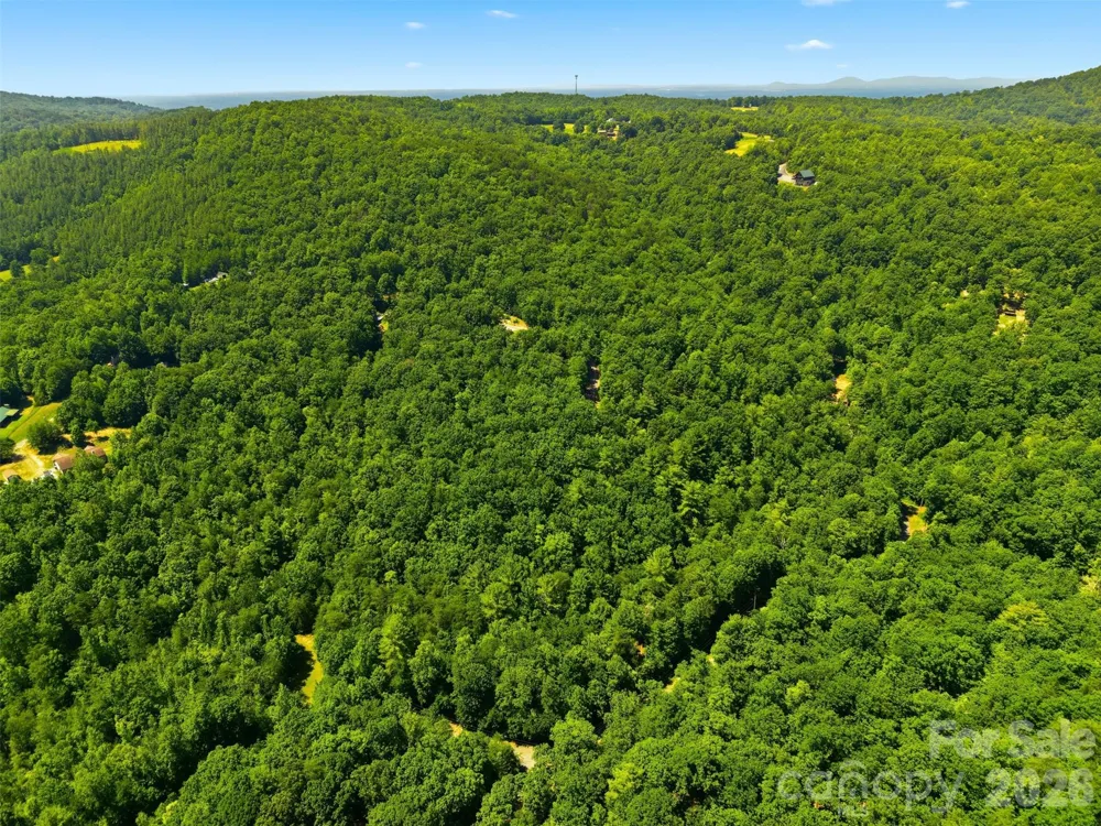TBD Basin Creek Drive #14 Taylorsville, NC 28681