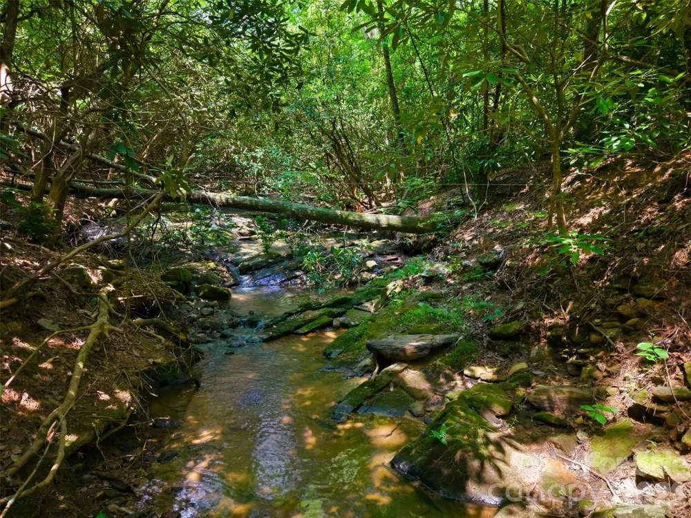 TBD Basin Creek Drive #14 Taylorsville, NC 28681