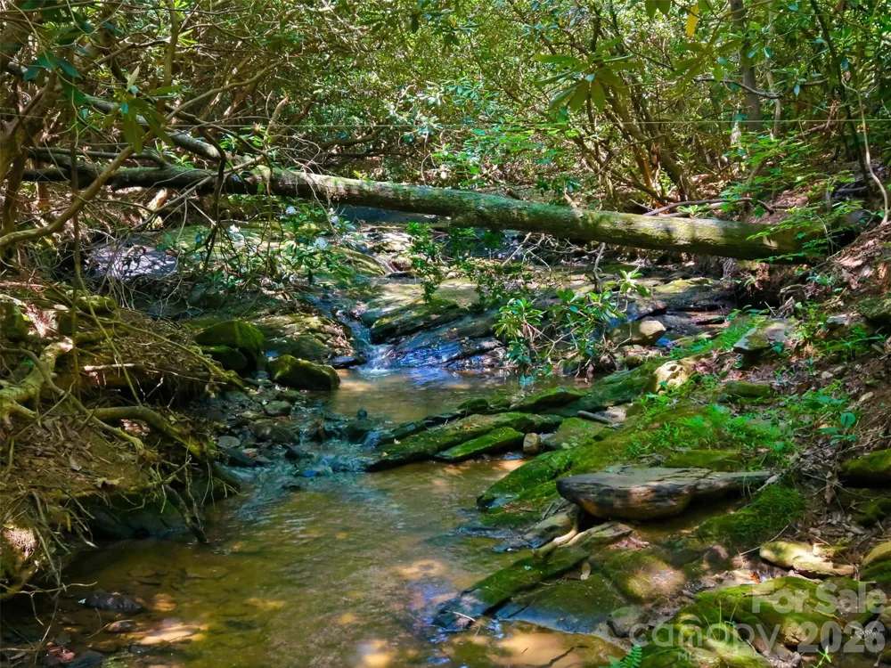 TBD Basin Creek Drive #14 Taylorsville, NC 28681