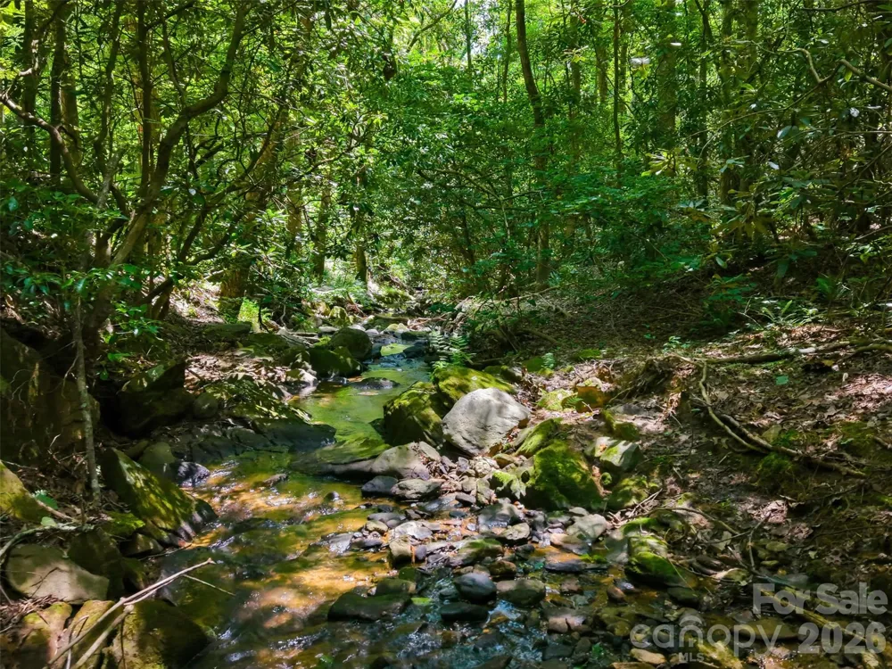 TBD Basin Creek Drive #14 Taylorsville, NC 28681